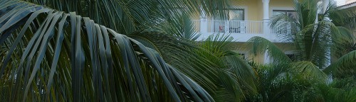 Hawaiianische Küche | American Cooking